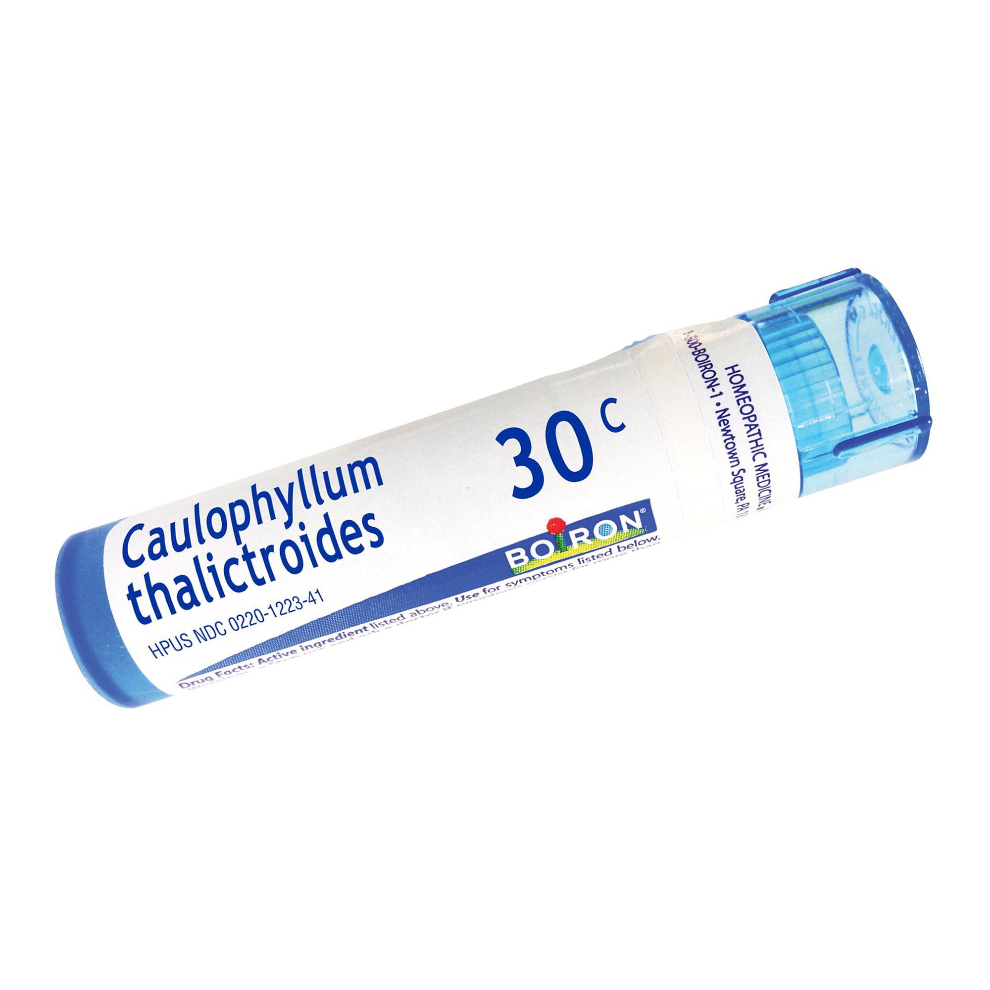 Caulophyllum Thalictroides