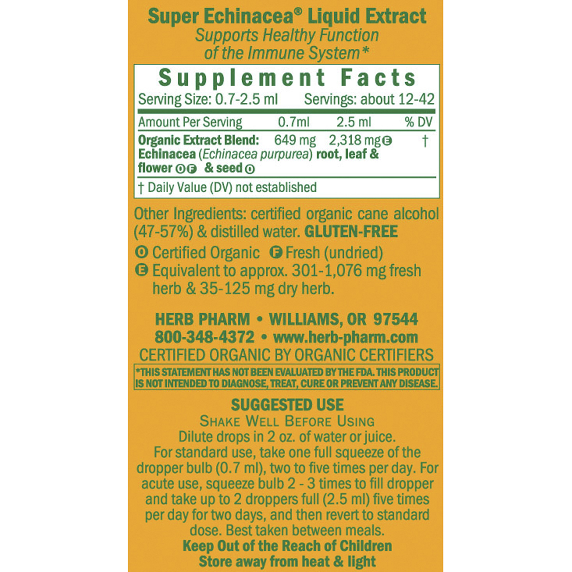 Super Echinacea - Image 2