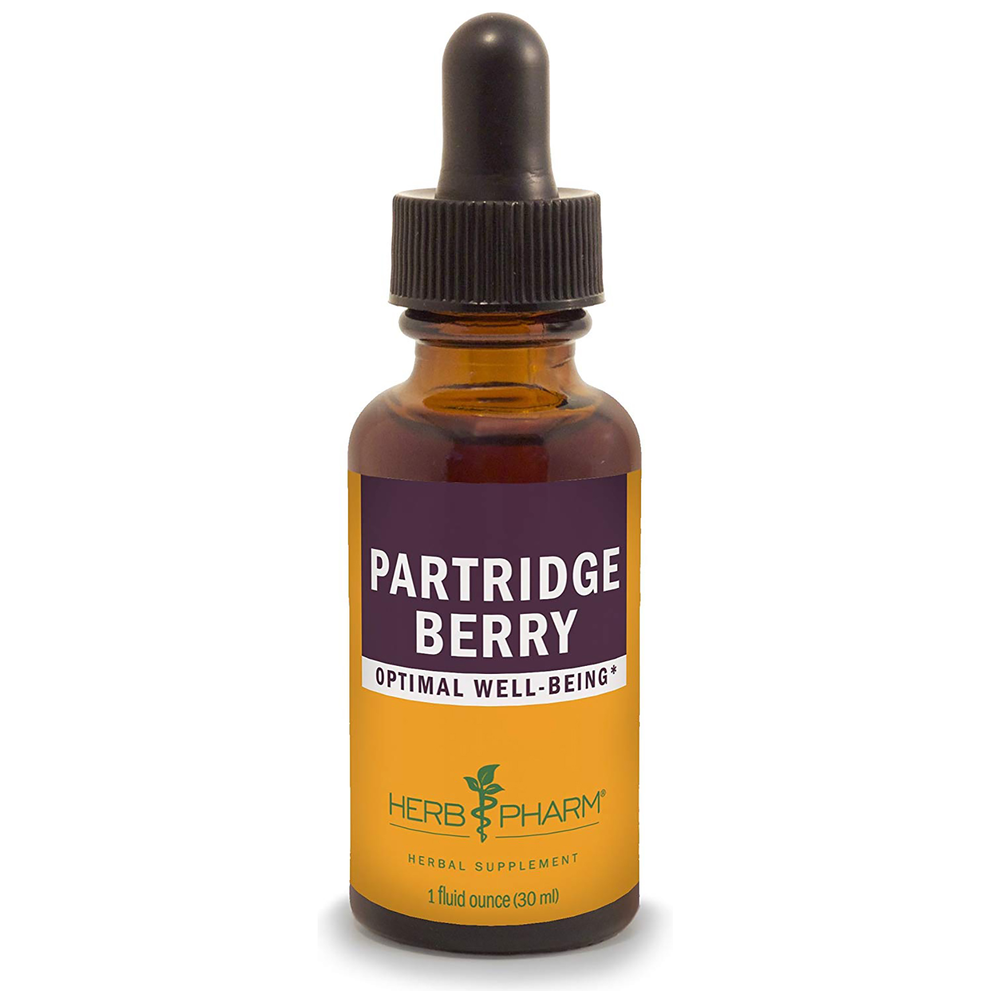 Partridge Berry (Squaw Vine)