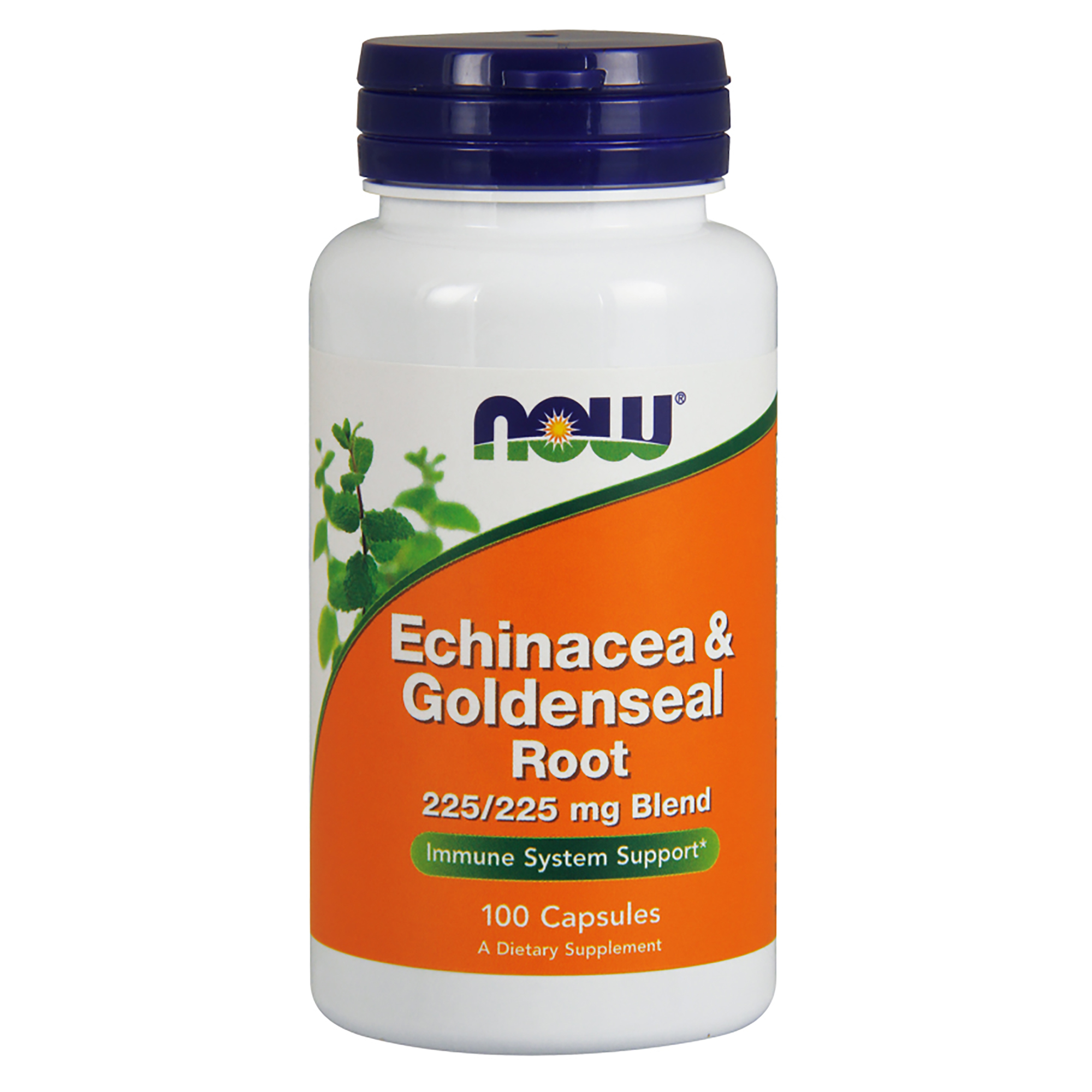 Echinacea & Goldenseal Root