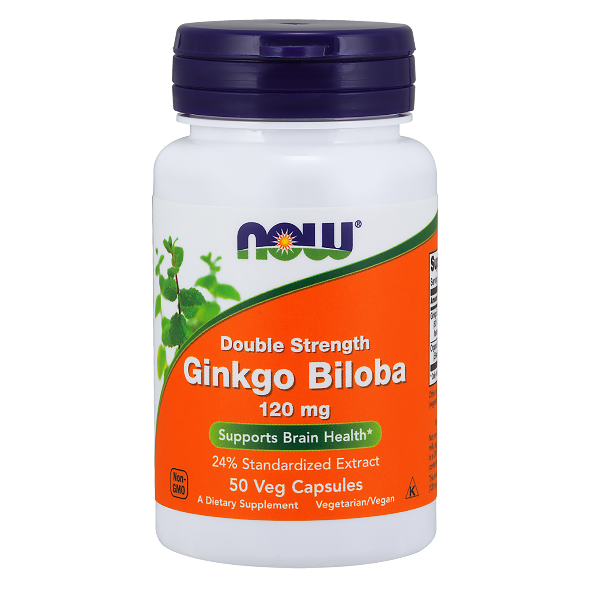 Ginkgo Biloba 120mg