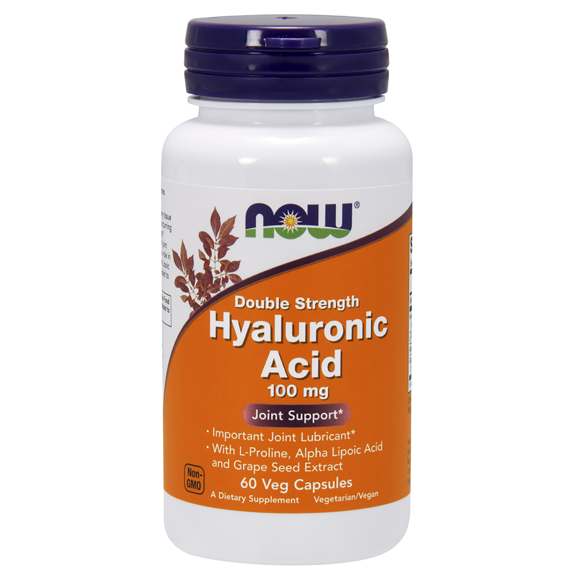 Hyaluronic Acid 100mg