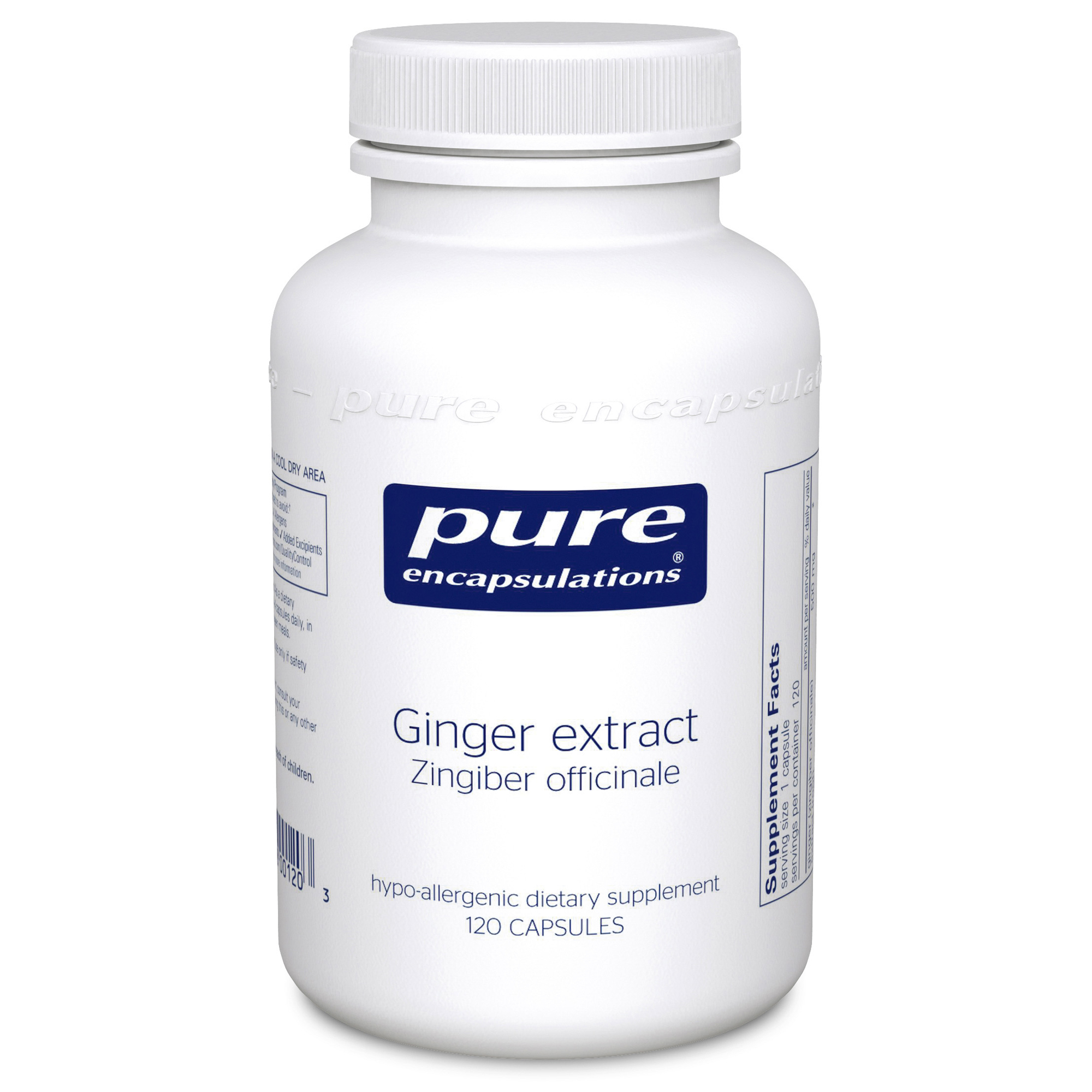 Ginger Extract (zingiber officinale)