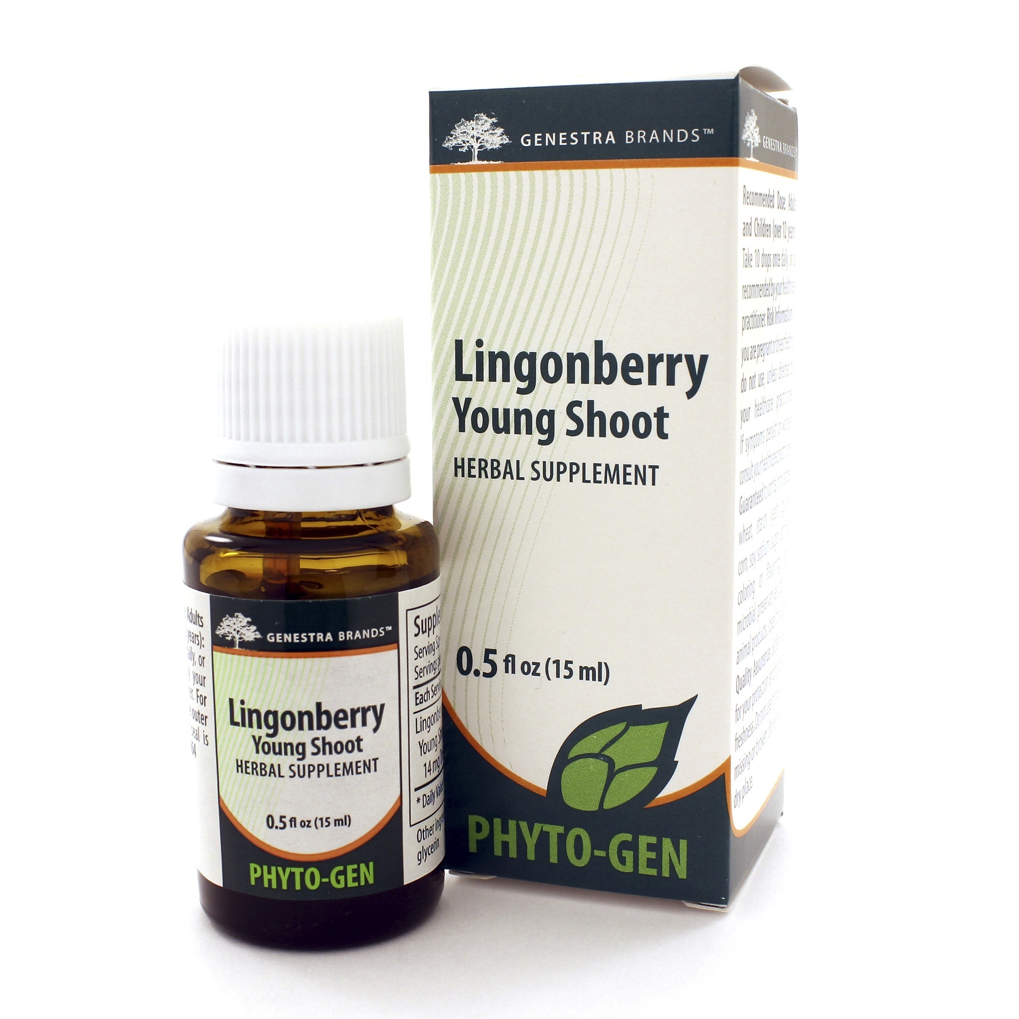 Lingonberry Young Shoot