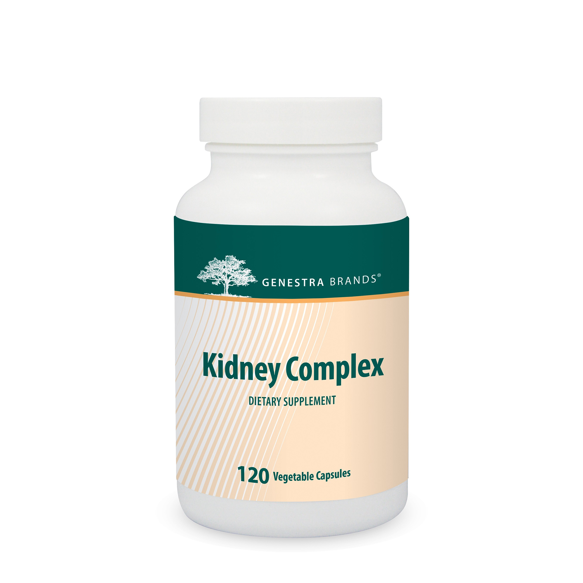 Kidney Complex