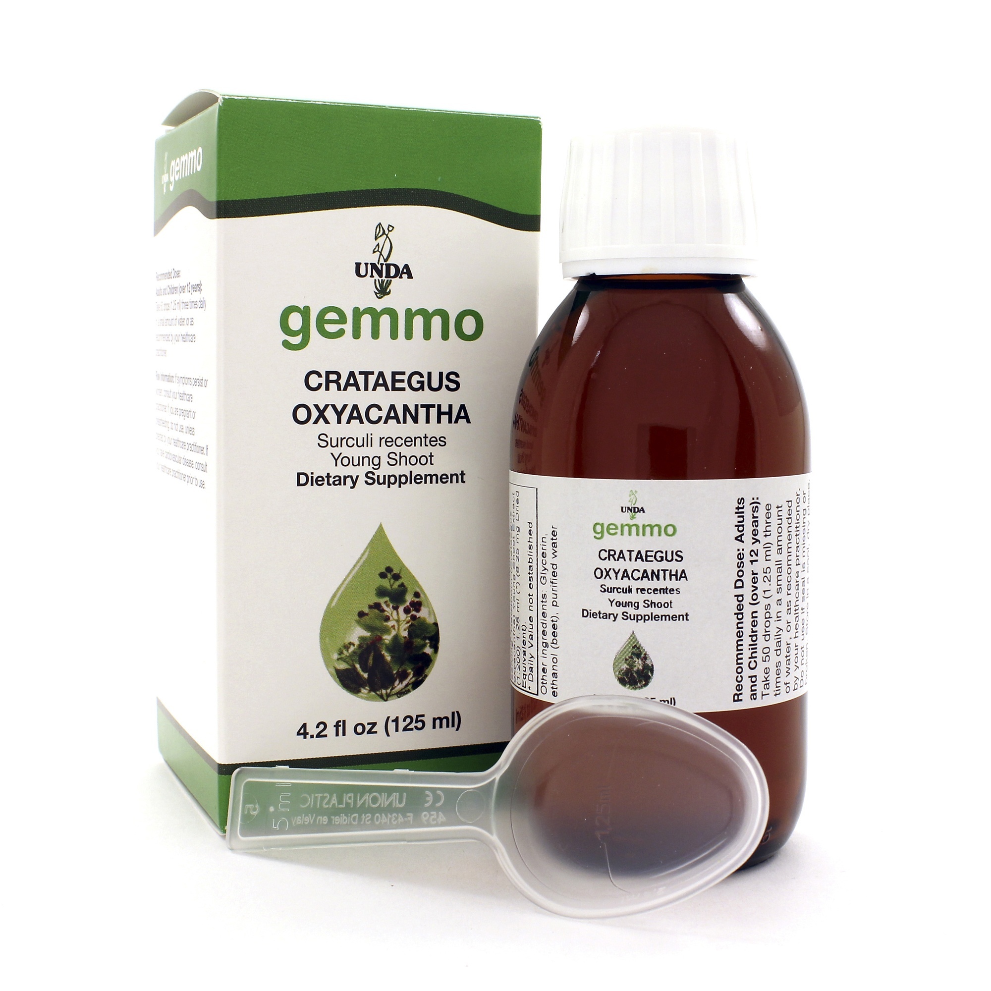 Crataegus oxyacantha